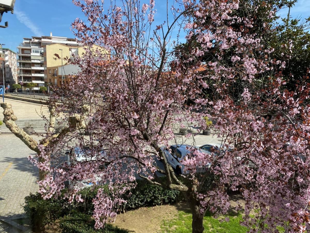 Apartamento Dacosta Plasencia Exteriör bild